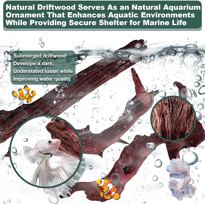 2 PCS Natural Driftwood for Aquarium Fish Tank Decor,Assorted Driftwood Branch for Reptile Decor (ZYM-S(8-12 Inch)-2 PCS)