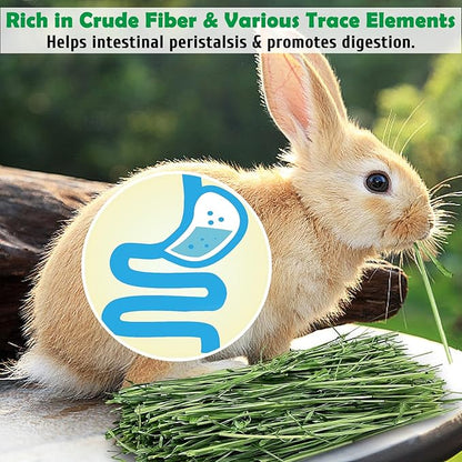 Fhiny Timothy Hay for Rabbit, 3.3LB Hand-Selected Premium Natural Timothy Hay Chinchilla Hay Hamster Food for Bunny Guinea Pig Chinchilla Hamster & Other Small Animals