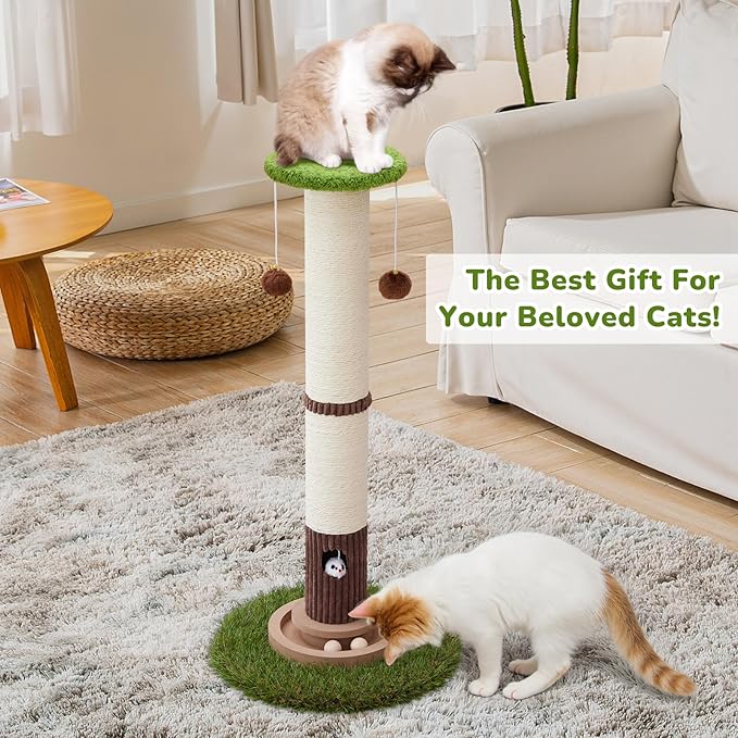 Scratcher Posts for Adults Cats - 33" Tall Cat Scratching Post, Premium Sisal Post for Kittens, Cat Scratcher Tree with Reinforced Stable Base and Interactive Wooden Ball (Green)