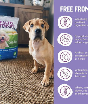 Health Extension Little Bites Dry Dog Food for Small Breeds, Chicken & Brown Rice Recipe, with Probiotics & Superfoods for Digestion & Coat Health, 1 lb Bag