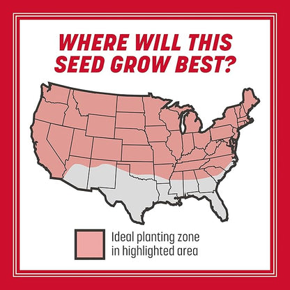 Pennington The Rebels Tall Fescue Grass Seed Mix 20 lb