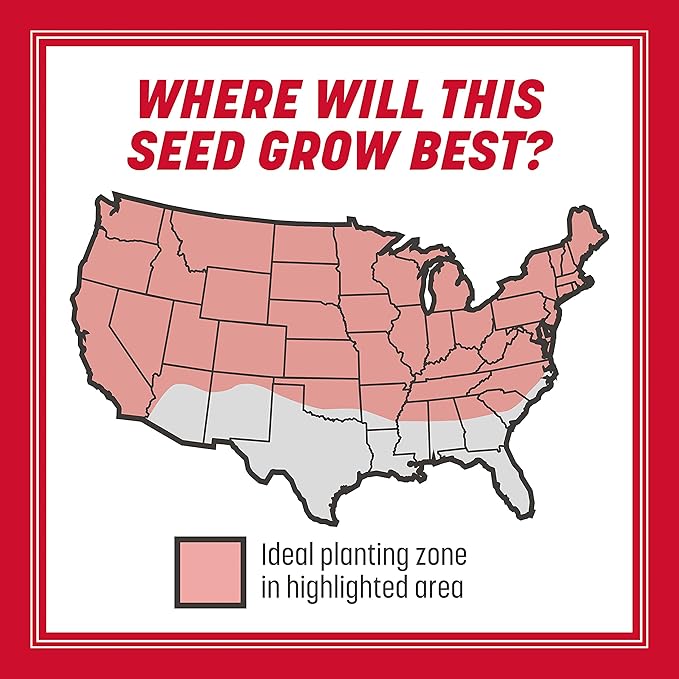 Pennington The Rebels Tall Fescue Grass Seed Mix 3 lb