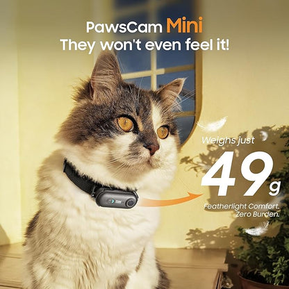 4K UHD Dog& Cat Pet Camera Collar, Video Recorder with Phone App Live View, Outdoor & Indoor POV Action Cam for Small and Medium-Size Dogs(White - Black Nylon Collar - M, 64g)