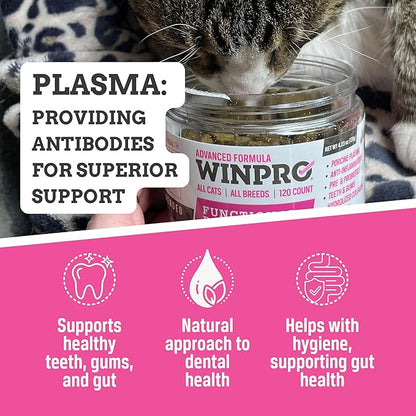 WINPRO - Tasty Dental Bites for Cats, Plasma-Powered Formula for Teeth Cleaning, Gum Support & Dental Care, Probiotic Blend Catnip Treats for Gut Health, All Cat Breeds, 120 Count, Made in USA