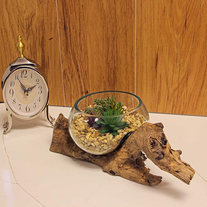 Handcrafted Melted Glass and Teak Driftwood Centerpiece Bowl/Sculpture- Unique 7-Inch Earthy Artistry for Succulents, Terrariums, and Decorative Displays