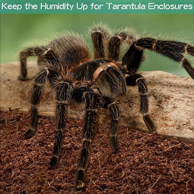 Halatool 1.4LB Coconut Fiber Substrate for Reptile Bedding Natural Coconut Husk Substrate for Snake Tarantula Enclosure Tortoises Habitat Spider Leopard Gecko Tank, Fill 2.1 Gallon Terrarium