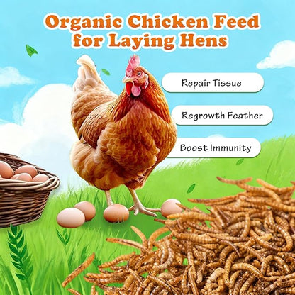 Amzey Dried Mealworms- 3.5 oz(2 Pack)- High Protein Non GMO Mealworms - Great for Turtle Food, Bird Food, Cockatiel Food, Lizard Food, Snake Food, Iguana Food, Sulcata Tortoise Diet- 3.5oz (2 Pack)