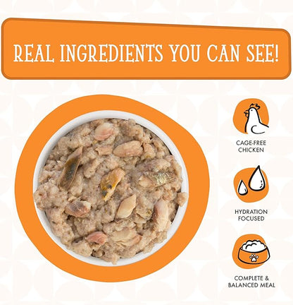 Weruva Dogs in The Kitchen, Goldie Lox with Chicken & Wild-Caught Salmon Au Jus Dog Food, 10oz Can (Pack of 12)