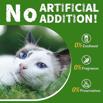 Just Try 6.34OZ Cat Treats, Freeze Dried Cat Grass Teething Stick,Healthy Training Treats Food Topper,Hairball Control Teeth Cleaning Dental Treats for Indoor Cats (6.34 OZ, Chicken)