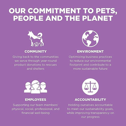 Go! Solutions Carnivore, Grain-Free, Protein Rich Dry Cat Food, Chicken, Turkey and Duck Recipe, 8 lb Bag