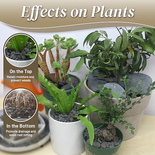 45 LB Mexican Beach Pebbles - 1-2 Inch Decorative River Rocks for Landscaping, Garden Paving, Plant Rocks, Crafting, Walkways, Backyard, Grey Natural Unpolished Bulk Stones