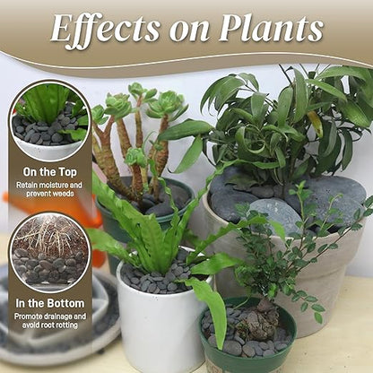 45 LB Mexican Beach Pebbles - 1-2 Inch Decorative River Rocks for Landscaping, Garden Paving, Plant Rocks, Crafting, Walkways, Backyard, Grey Natural Unpolished Bulk Stones