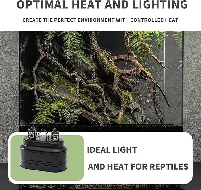 Dual Reptile Light Fixture-Max 160W,with Switches, Fits Reptile Light Heat Lamp UVB Light for Lizards, Snakes,Turtles, and Amphibians E26