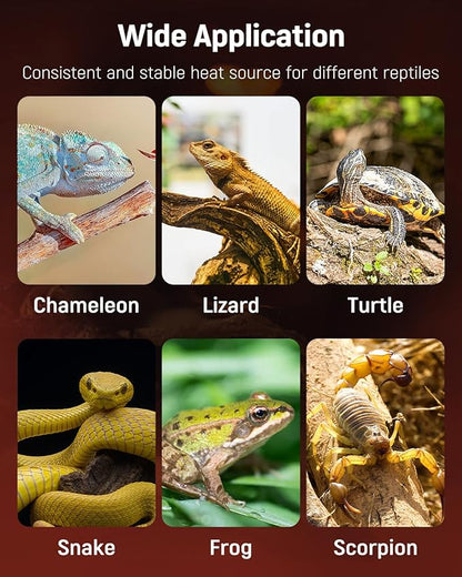 Pawfly 5 W Reptile Heat Pad 6 x 5.5 Inch Reptile Heating Pad Under Tank Terrarium Safe Fast Heating Mat Heat Mat for Turtles Frogs Snakes Lizards Geckos Hermit Crabs Spiders & Other Reptiles