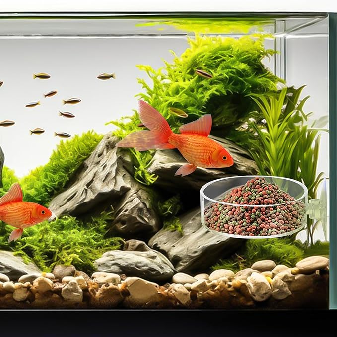 60mm Fish Tank Feeder Dish Aquarium Shrimp Feeder Dish with Suction Clear Fish Tank Feeding Bowl Round Clear Dishes Tray（2pcs）