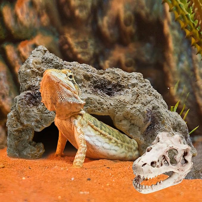 Reptile Rock Reptile Cave Hideout for Snakes/Geckos/Lizards/Turtles and Other Amphibians, with Dinosaur Skull (Small)