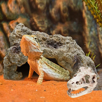 Reptile Rock Reptile Cave Hideout for Snakes/Geckos/Lizards/Turtles and Other Amphibians, with Dinosaur Skull (Small)