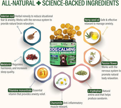 Hemp Calming Chews for Dogs Anxiety -120 Hemp Dog Calming Chews - Anxiety Relief Treats with Melatonin - Advanced Pet Stress Relief, Separation Aid, Barking, Thunder, Fireworks, Travel - Made in USA