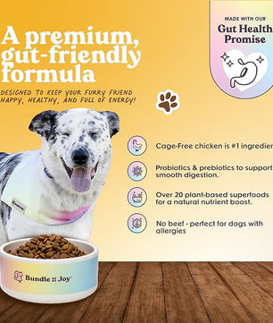 Golden Probiotic Dog Food Dry, Chicken, 4lb Bag, Allergy and Gut-Friendly Adult Kibble for Digestive Health with Cage-Free Chicken, 20 Plant Based Superfoods, Beef and Grain Free