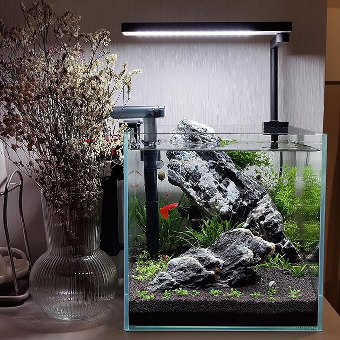 Natural Seiryu Dragon Stone - 20 Pound Aquarium Landscape Rock for Fish Tank Decorative Stones, Reptiles and Amphibians, 3-9 Inch Aquarium Decoration