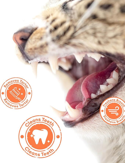 17.63oz Crunchy Cat Grass Treats for Hairball Control – Natural Salmon & Cat Grass & Catnip Biscuits, Low-Calorie Healthy Snacks for Indoor Cats, Digestive & Dental Care