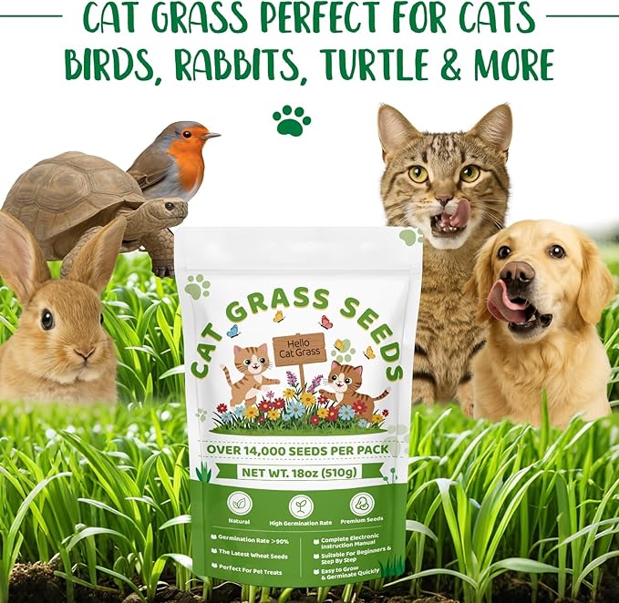 18oz Large Pack Cat Grass Seeds Bulk - Over 14000+ Premium Cat Grass for Indoor Cats & Pets, High Germination Rate & Easy to Grow, Non-GMO Wheat Grass Seed for Planting(510g)
