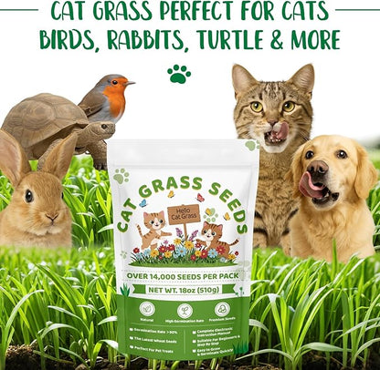 18oz Large Pack Cat Grass Seeds Bulk - Over 14000+ Premium Cat Grass for Indoor Cats & Pets, High Germination Rate & Easy to Grow, Non-GMO Wheat Grass Seed for Planting(510g)