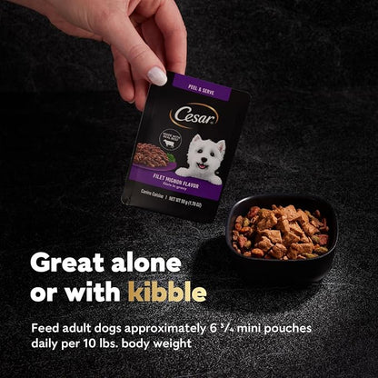 Cesar Filets in Gravy Wet Dog Food Filet Mignon Flavor, 1.76 oz. Mini-Pouch (20 Count, Pack of 1)