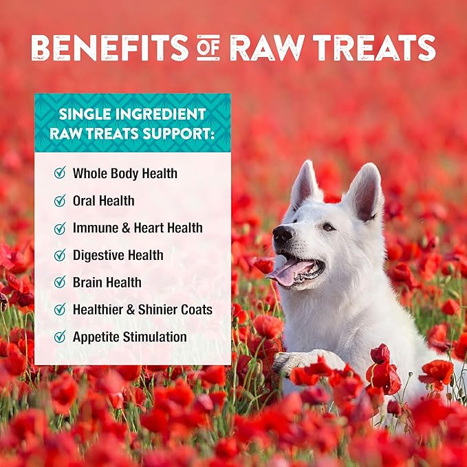 Northwest Naturals Raw Rewards Freeze-Dried Chicken Breast Treats for Dogs and Cats - Bite-Sized Pieces - Healthy, 1 Ingredient, Human Grade Pet Food, All Natural, Proudly Made in USA, 10 Oz