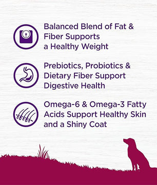 Wellness Complete Health Small Breed Dry Dog Food with Grains, Natural Ingredients, Made in USA with Real Turkey, For Dogs Up to 25 lbs (Adult, Healthy Weight Turkey & Rice, 4-Pound Bag)