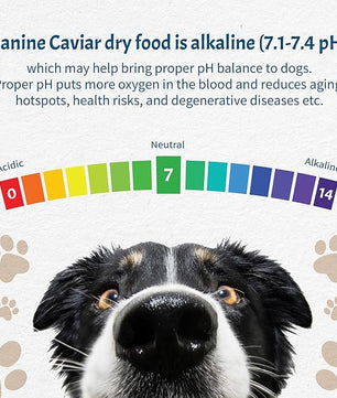 Canine Caviar - Free Spirit: Chicken & Pearl Millet Alkaline Dry Dog Food, Limited Ingredients, Gluten-Free, Based on Science & Research, Veterinary Alternative Diet (11 Pound Bag)