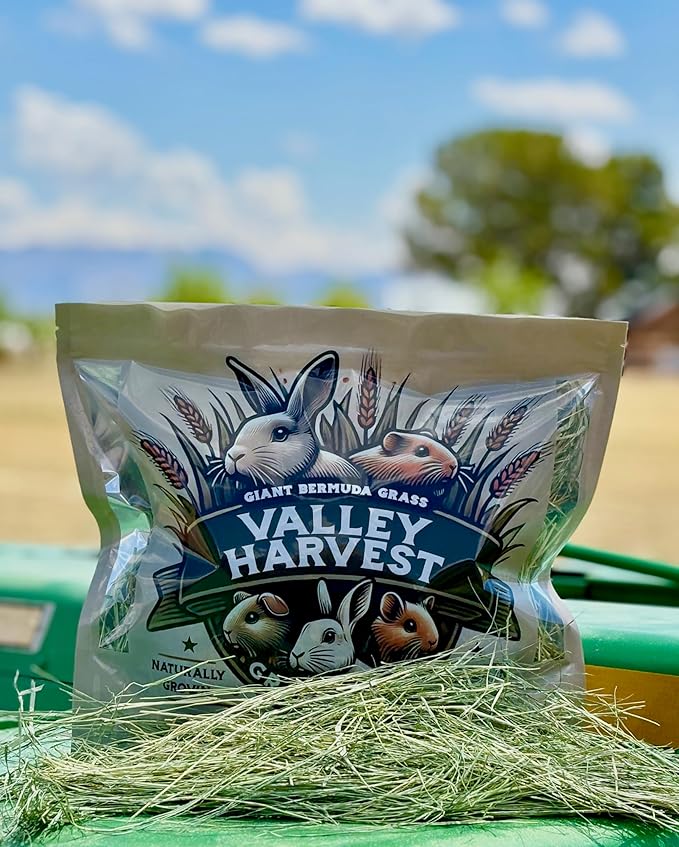 Grass Hay – Nutritious Feed for Rabbits, Guinea Pigs, Chinchillas, Tortoises & Hamsters – Natural Snack & Daily Feed for Small Pets