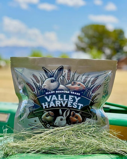 Grass Hay – Nutritious Feed for Rabbits, Guinea Pigs, Chinchillas, Tortoises & Hamsters – Natural Snack & Daily Feed for Small Pets