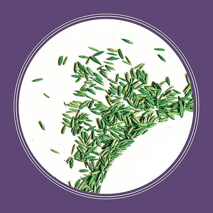 Pennington Smart Seed Dense Shade Grass Mix Bag 7 lb