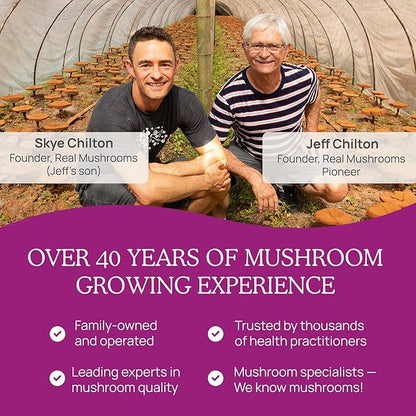 Real Mushrooms Mobility Chews for Dogs & Cats – Green Lipped Mussel & ErgoGold Mushroom Blend – Dogs & Cat Vitamins Treats for Active Routines – Joint, Hip & Flexibility Support – 240 ct Supplement