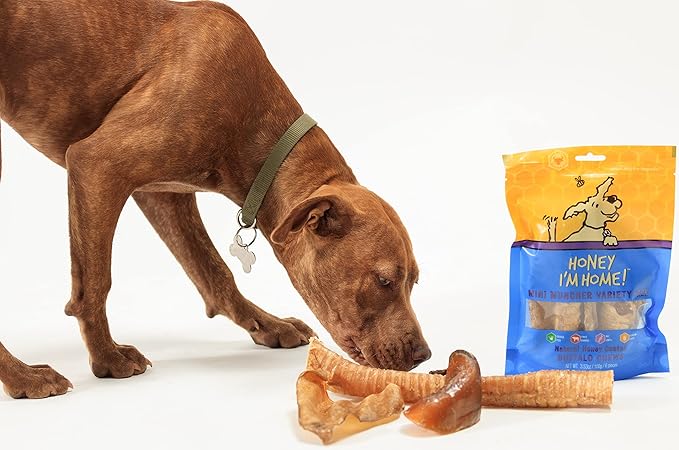 Honey I'm Home, Mini Muncher Buffalo Dog Chews Variety Pack, 3.53 Ounces - All Natural, Free Range, Healthy, Grain Free, Honey Coated & Crunchy