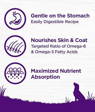 Wellness Complete Health Sensitive Skin & Stomach Dry Dog Food, Wholesome Grains, Natural, Salmon & Rice Recipe, (5-Pound Bag)