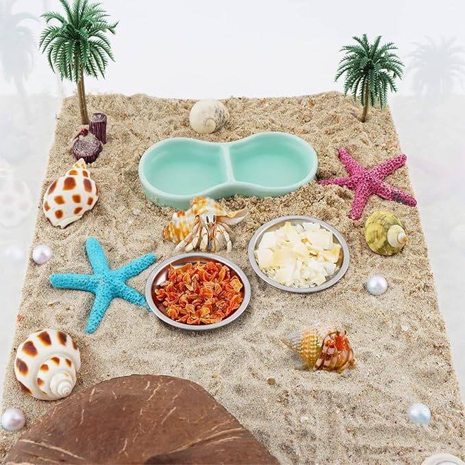 10 Pcs Hermit Crab Food Dish, Stainless Steel Hermit Crab Water Bowl, Reptile Feeding Bowls, Tank Aquarium Accessories, for Crab Snail Gecko Insect