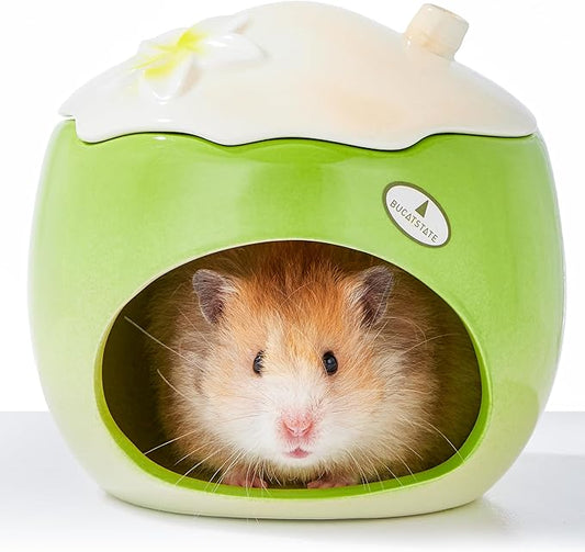 BUCATSTATE Coconut Shape Ceramic Hamster Hideout with Removable Lid & Ice Compartment - All-Season Cool Bed for Dwarf Hamster, Gerbil, Mice, Golden Bear - Large Green Small Pet House Habitat