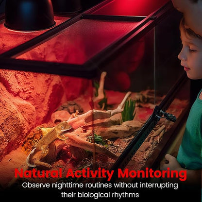 Dual Reptile Lamp Fixture with 100W Daytime Heat & 100W Nighttime Infrared Heat Bulbs, 2 Independent Switches, Reptile Heat Lamp Combo Pack - No UVB