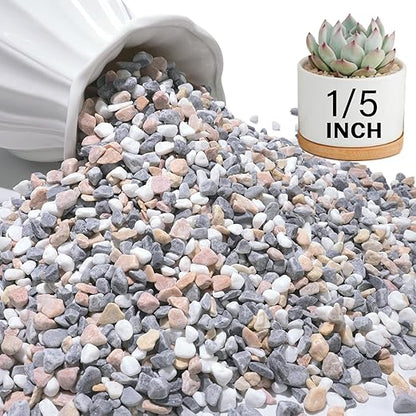 NUPICK 12 lbs Pebbles for Indoor Plants, 1/5 Inch Pea Gravel for Fish Tank, Decorative Rocks for Succulent, Natural River Stones for Vases, Cactus, Landscaping, Bird Bath, Aquarium, Mixed