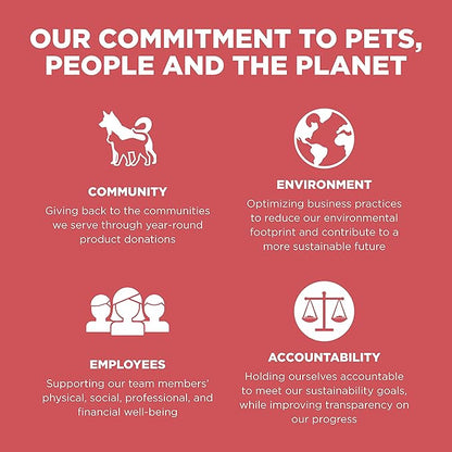 Go! Solutions Sensitivities Limited Ingredients, Grain-Free Dry Dog Food, Salmon Recipe for Sensitive Stomach, 12 lb Bag