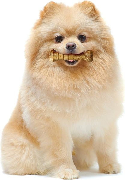 Nylabone Healthy Edibles Natural Dog Chews Long Lasting Chew Treats for Dogs, Turkey & Apple Flavor, X-Small/Petite (12 Count)