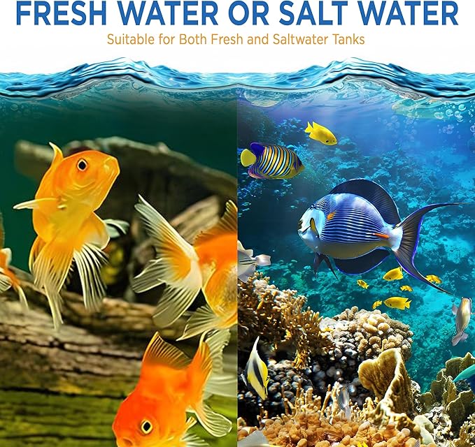 Fish Tank Rocks for Enhancing Water Clarity with Your Regular Cleaning Routine, Fish Friendly Aquarium Rocks, All Natural Aquarium Decor - Large - Covers Upto 3500 Gallons