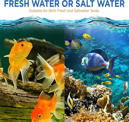 Fish Tank Rocks for Enhancing Water Clarity with Your Regular Cleaning Routine, Fish Friendly Aquarium Rocks, All Natural Aquarium Decor - Large - Covers Upto 3500 Gallons