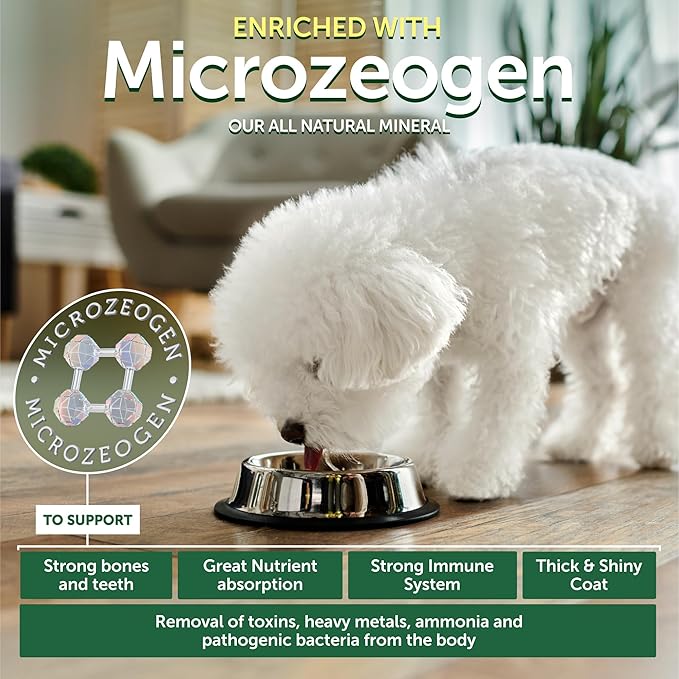 Nature's Protection Grain Free Dry Dog Food for Large Dogs - High Protein, Tear Stain Formula - Bigger Kibble for Adult Dogs with Light Fur (Superior Care - White Fish, 22 lb)