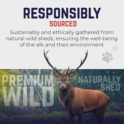 Devil Dog Pet Co. Split Elk Antlers for Dogs, Large 6"+, 1 Pack, Grade A Long Lasting Chew for Aggressive Chewers, Premium USA Naturally Shed Antler – Healthy, No Odor, Durable Dog Chew