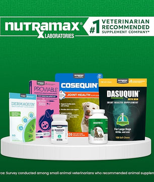 Nutramax Dermaquin Skin Support Supplement for Large Dogs, Supports Healthy Response to Allergens, with Hardy Kiwi, Omega-3s, and More, Tasty Soft Chews, 60 Count