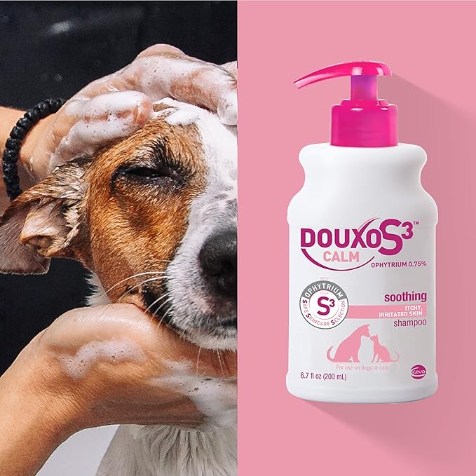 Douxo S3 Calm Shampoo, Contains 0.75% Ophytrium, Soothing, For Itchy, Irritated or Allergic Skin, For Dogs and Cats, 6.7 fl. oz. (200mL)