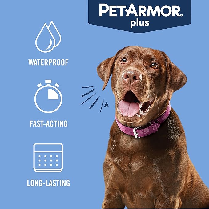 PetArmor Plus Flea and Tick Prevention for Dogs, Small Dog Flea and Tick Treatment, 12 Doses, Waterproof Topical, Fast Acting (5-22 lbs)